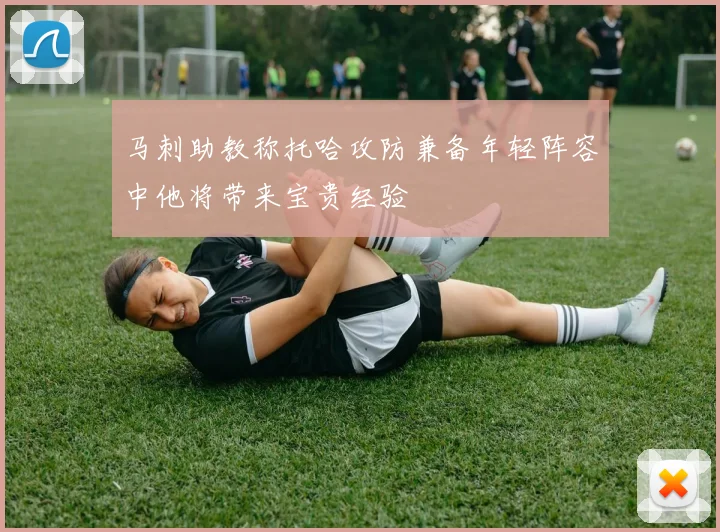 马刺助教称托哈攻防兼备年轻阵容中他将带来宝贵经验