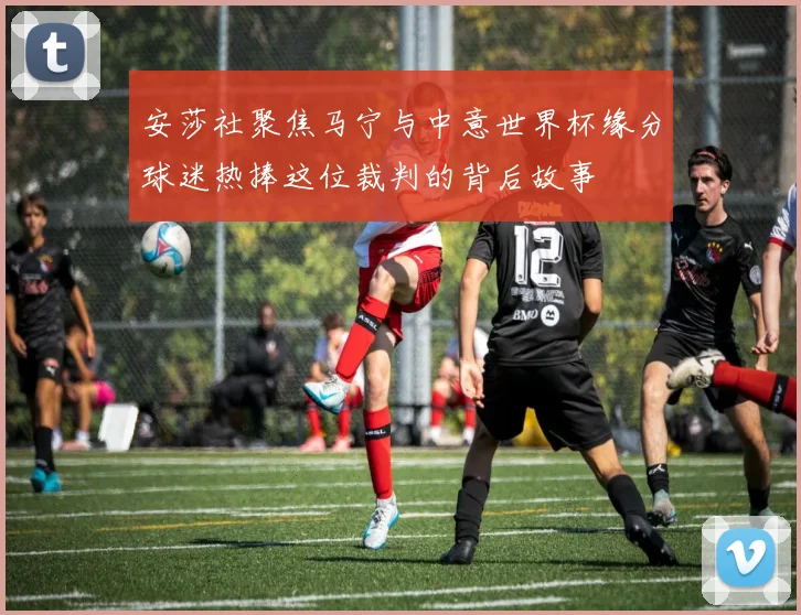 安莎社聚焦马宁与中意世界杯缘分球迷热捧这位裁判的背后故事