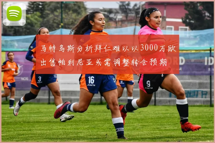 马特乌斯分析拜仁难以以3000万欧出售帕利尼亚或需调整转会预期